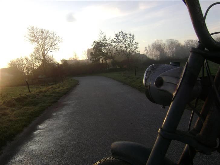 Sco Populær - solgt billede 9