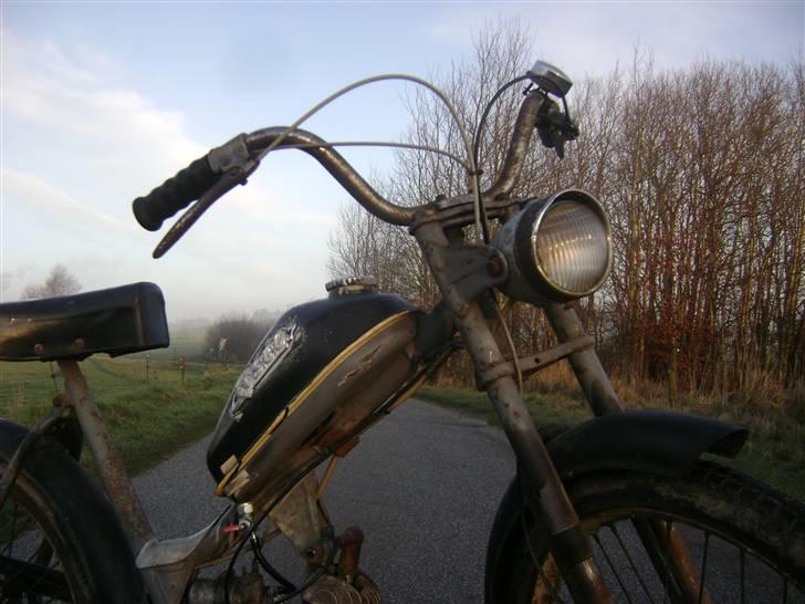 Sco Populær - solgt billede 11