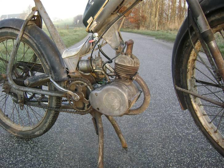 Sco Populær - solgt billede 12