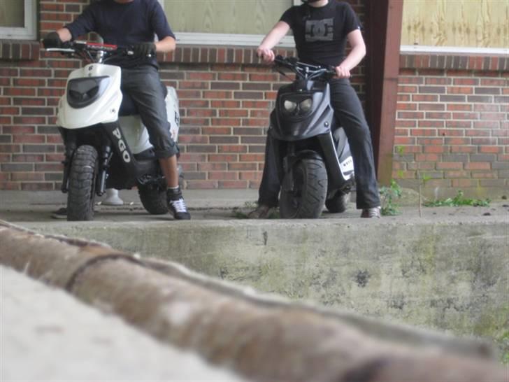 PGO Hot 50 solgt billede 15