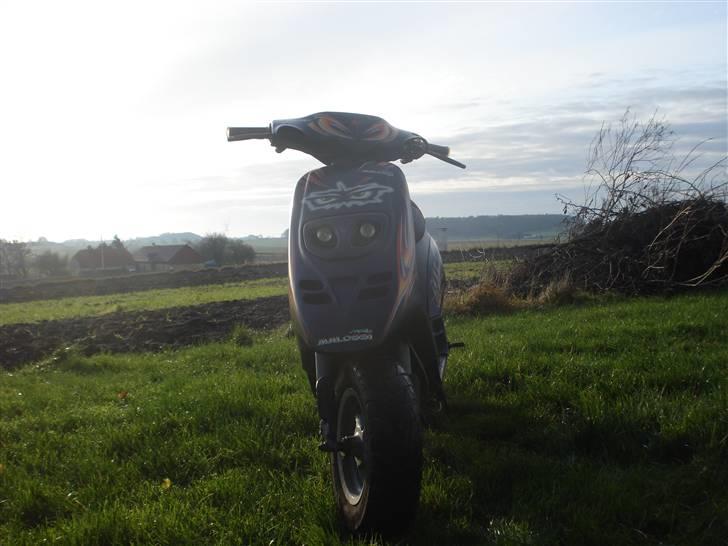 Piaggio typhoon  (byttet til RMX) billede 6