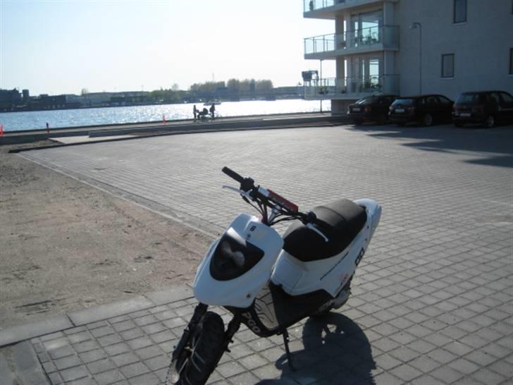 PGO Hot 50 solgt billede 19