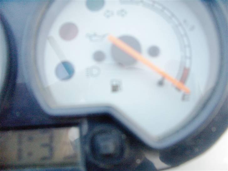 CPI hussar (solgt) billede 10