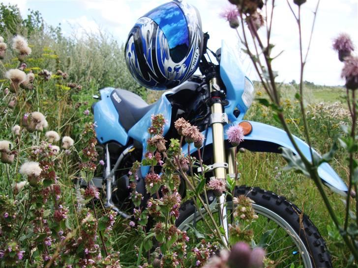 Suzuki RMX Solgt billede 5