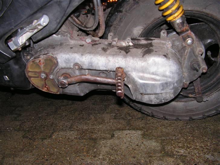 Adly # Falcon # | Solgt-- billede 6