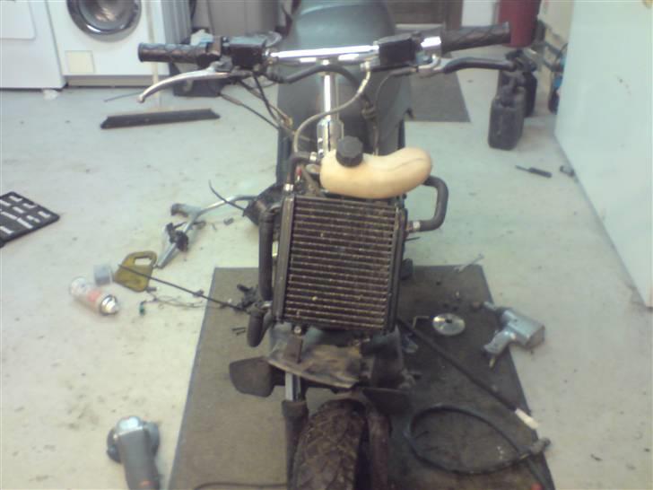 Yamaha AxisLCDD(Projekt evo2LC) billede 2