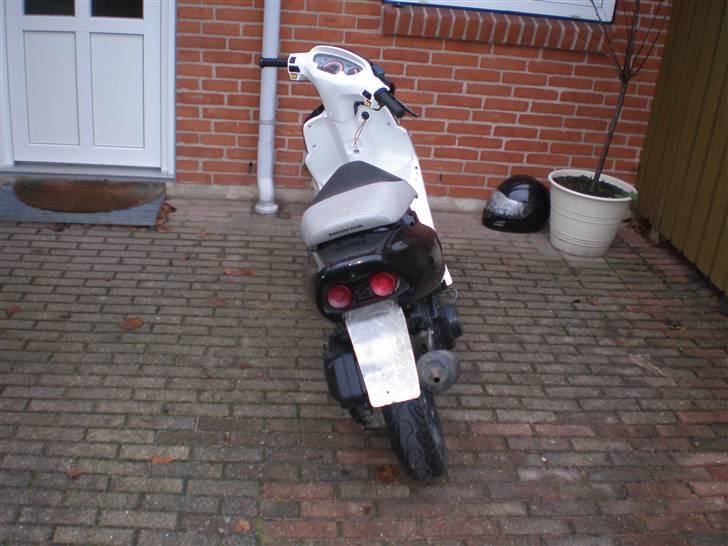 Honda sfx billede 2