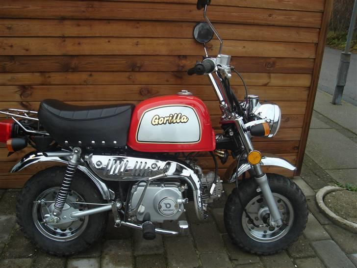 Jincheng gorilla (solgt) billede 2