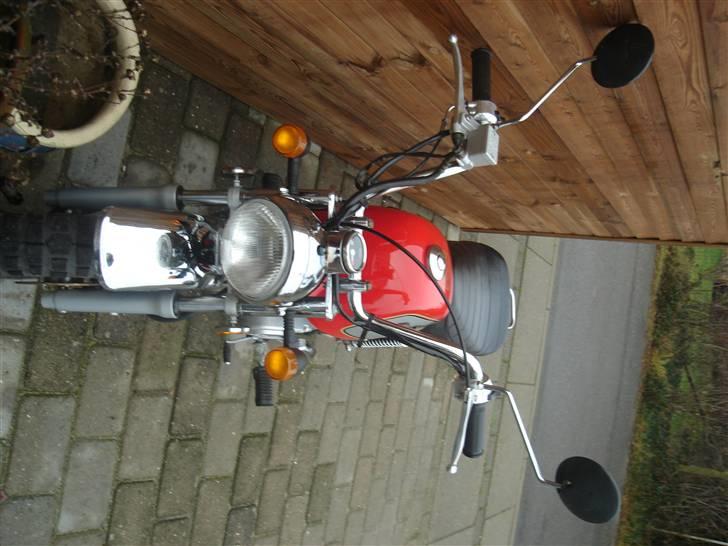 Jincheng gorilla (solgt) billede 6