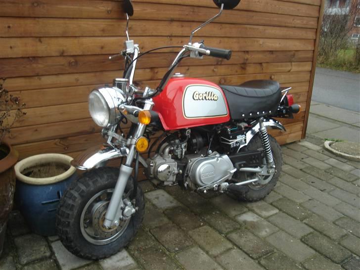 Jincheng gorilla (solgt) billede 7