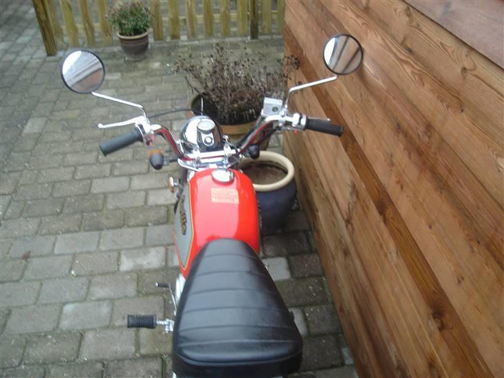 Jincheng gorilla (solgt) billede 10