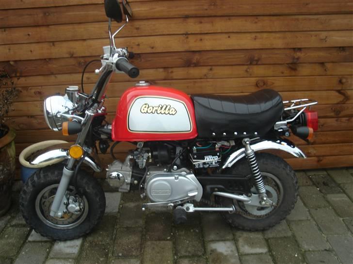 Jincheng gorilla (solgt) billede 12