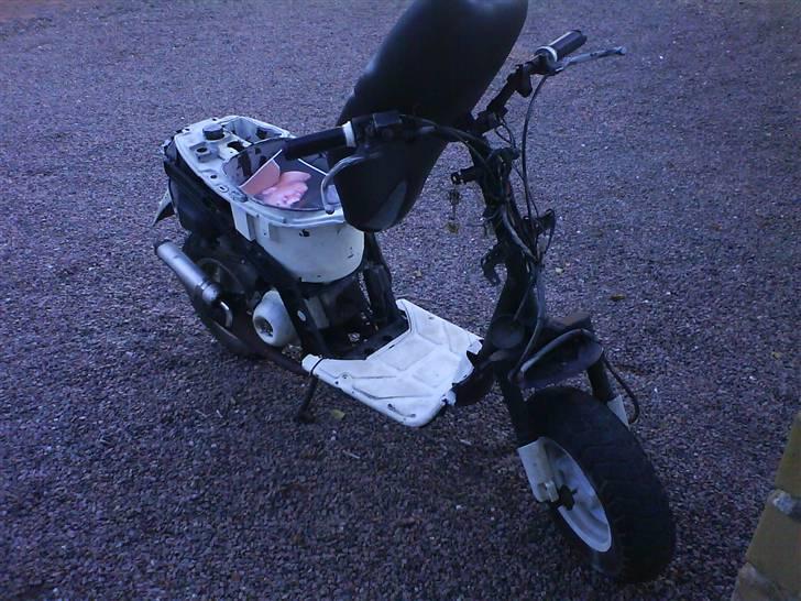 Piaggio typhoon billede 1