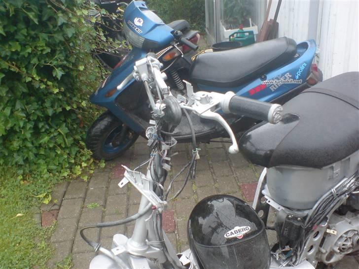 Piaggio typhoon billede 7