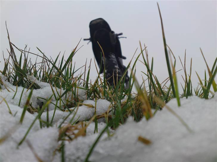 Suzuki Smx VÆK billede 3