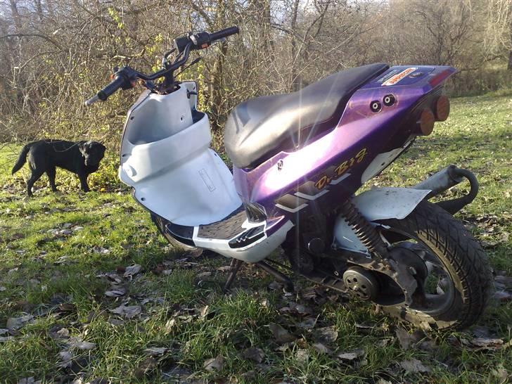 PGO dr big ´TIL SALG! billede 3