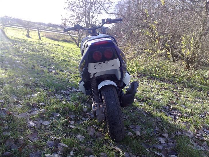 PGO dr big ´TIL SALG! billede 4