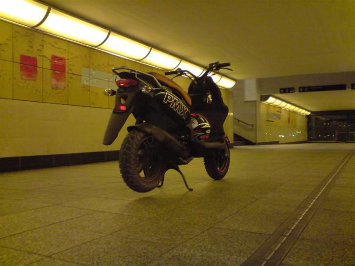 PGO Pmx Sport(byttet til jog) billede 6