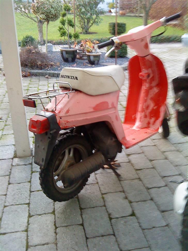 Honda Melody billede 4