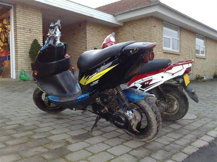 PGO Dr. Big -Solgt- - Æ´ big sammen med Strandby´s Hot billede 3