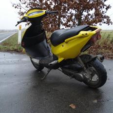 PGO Dr. Big / Solgt /