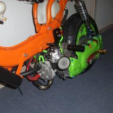 Suzuki fz50/benelli lc