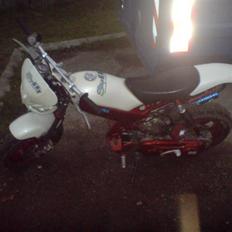 Suzuki street magic bytte jog