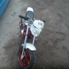 Suzuki street magic bytte jog