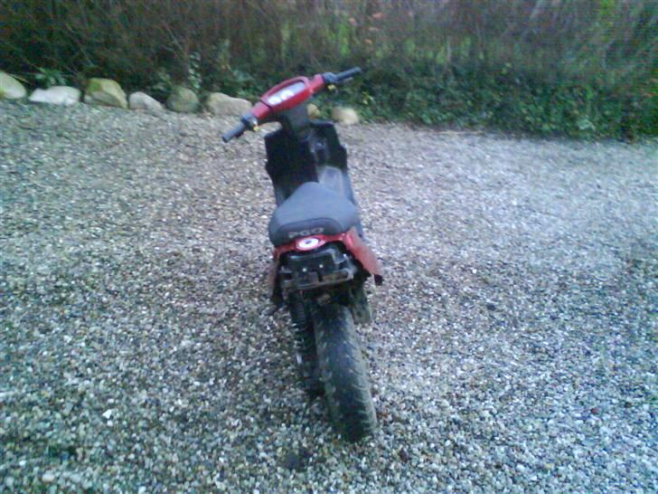 PGO hot 50 ( projekt) billede 4