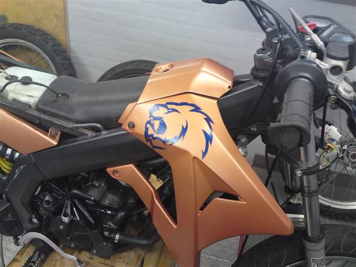 Gilera RCR LØVEN billede 1