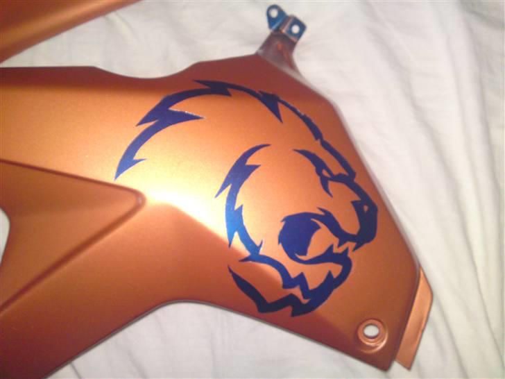 Gilera RCR LØVEN billede 6