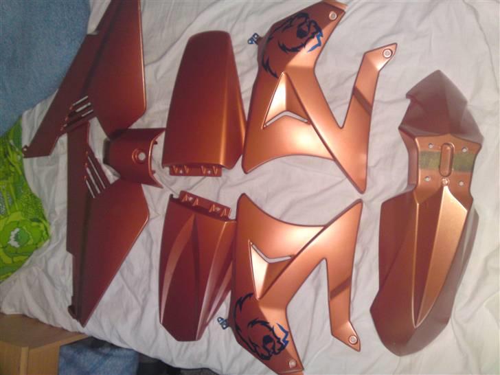 Gilera RCR LØVEN billede 7