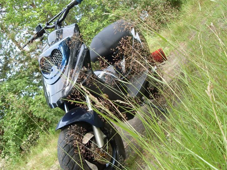 PGO big max under Ombygning billede 13