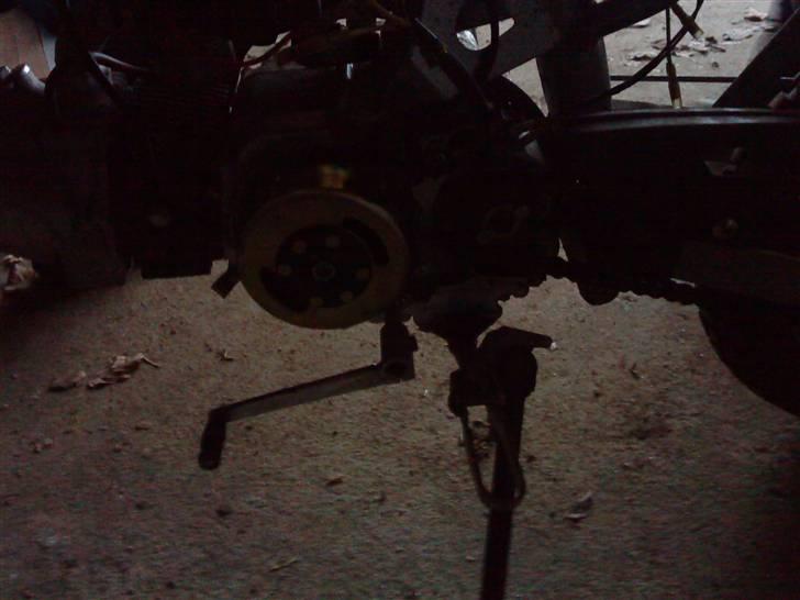 MiniBike dirt bike 110 (Liz Power) billede 6