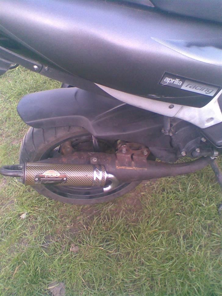 Aprilia sr 50 ditech solgt 30er - det siger vist sig selv den første ditech med nardo taget den 19/5 08 billede 19