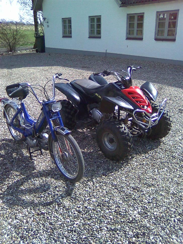 Puch Maxi K (Solgt) billede 8