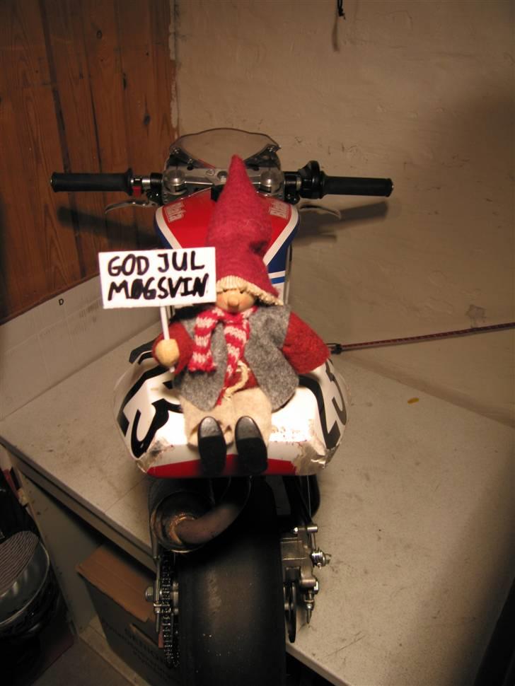 Blata WRS 14 - Klar til juleræs: 28. december i Esbjerg billede 3