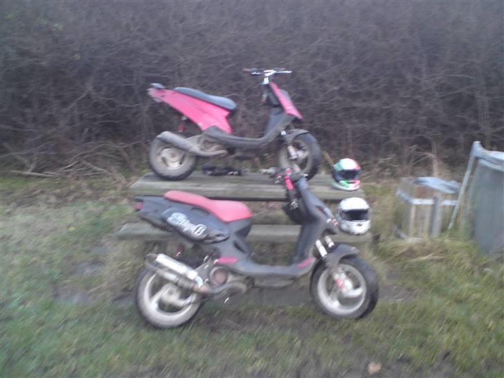 PGO hot . stage6 billede 8