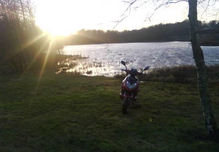 Baotian rebel billede 1