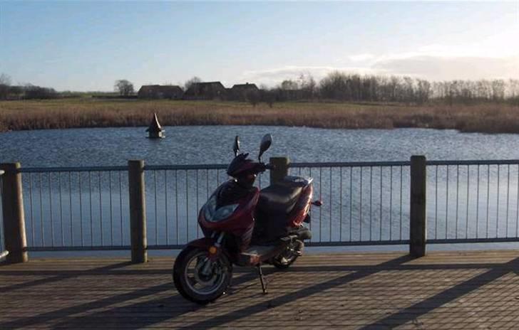 Baotian rebel billede 2