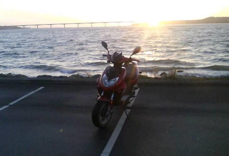 Baotian rebel billede 6