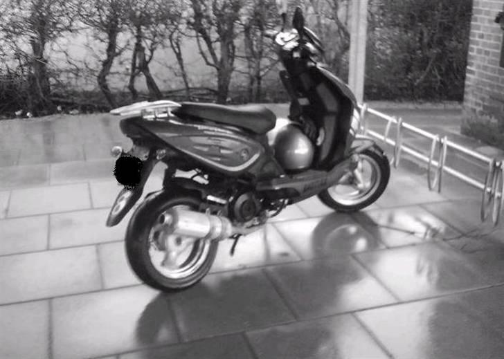 Baotian rebel billede 7