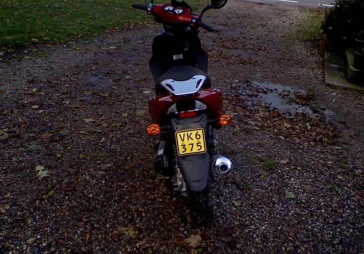 Baotian rebel billede 8