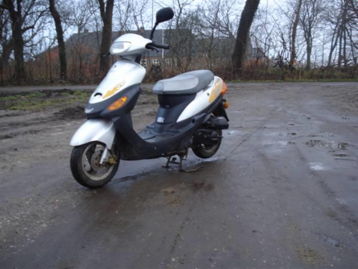 Jincheng Listo / SOLGT / billede 3