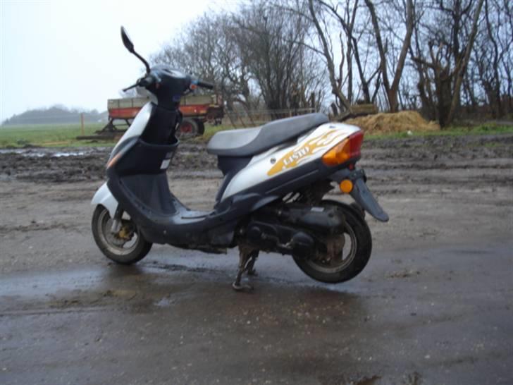 Jincheng Listo / SOLGT / billede 4