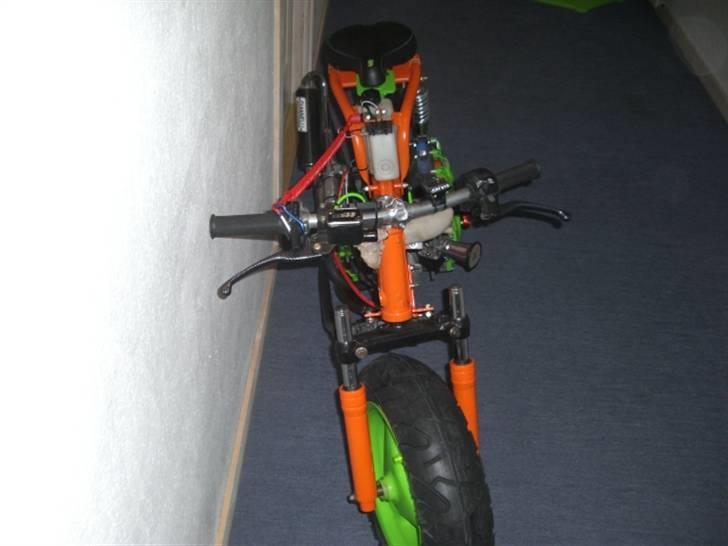Suzuki fz50/benelli lc billede 5