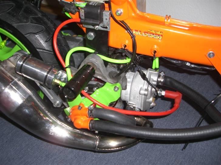 Suzuki fz50/benelli lc billede 7
