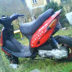 Gilera stalker