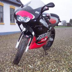 Aprilia Rs 50 Replica
