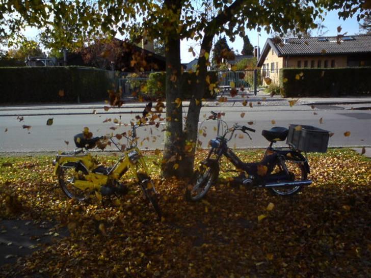 Puch maxi 2-gear billede 4